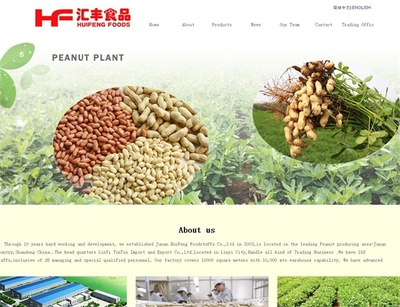 菏澤市網站建設推廣|企業網站建設推廣|臨沂新網網絡