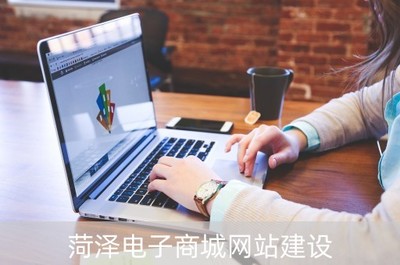 菏澤電子商城網站建設(菏澤電子商城網站建設項目)