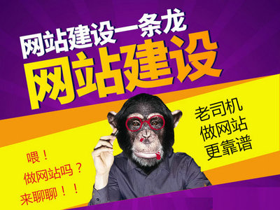 定陶網(wǎng)站制作|定陶網(wǎng)站建設|定陶做網(wǎng)站