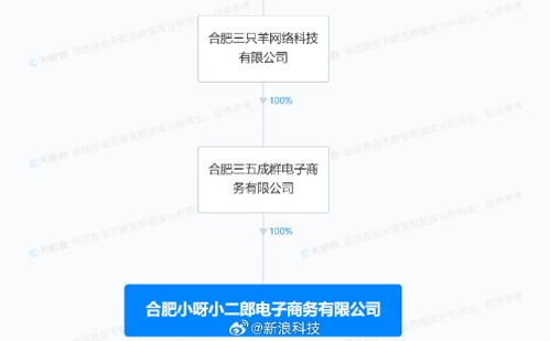 瘋狂小楊哥新公司成立 經營范圍包含互聯網銷售等