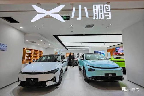 小彭汽車向小鵬汽車致歉上熱搜,前者注冊資本300萬在山東菏澤成立