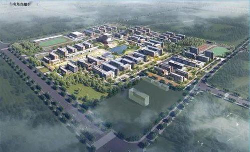 菏澤醫專建設新校區,征收區域在哪 官方回復