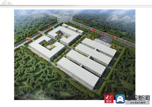 菏澤開發區 項目建設按下 快進鍵